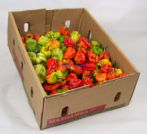 Hot Pepper 1/2box