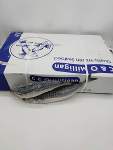 Mackerel 10kg Box